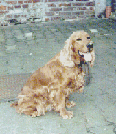 Hallo ich bin ILKA !