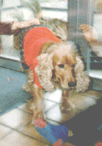 Voll peinlich, nicht wahr?